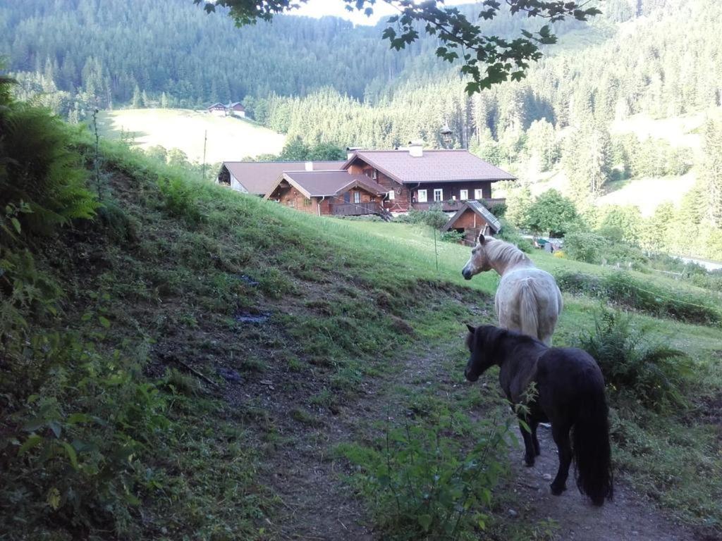 Neudegghof Lejlighed Eben Im Pongau Eksteriør billede