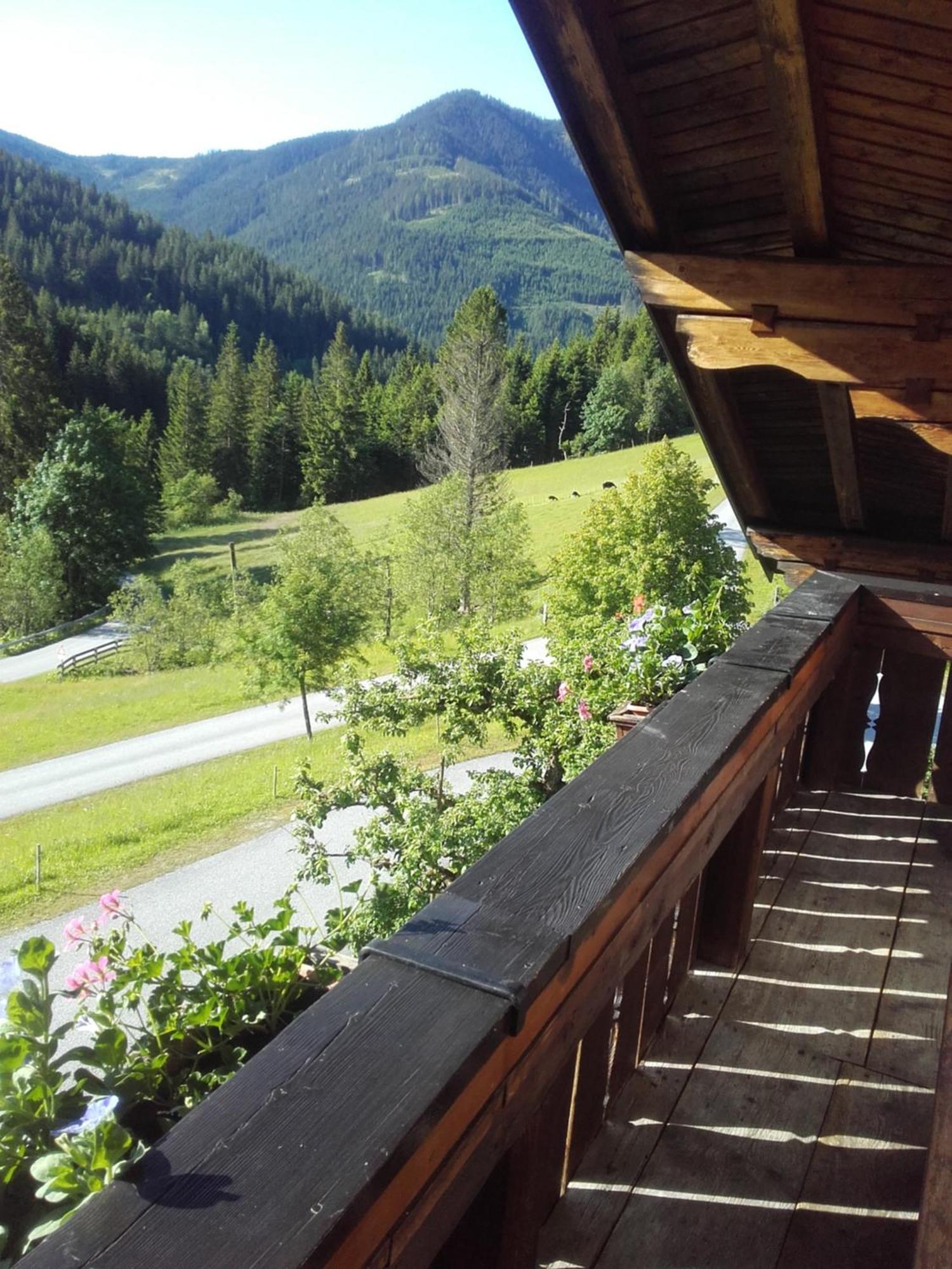 Neudegghof Lejlighed Eben Im Pongau Værelse billede