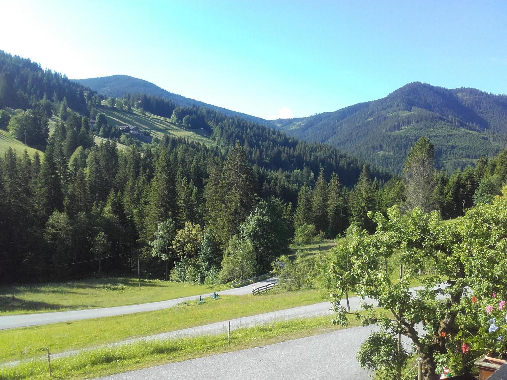 Neudegghof Lejlighed Eben Im Pongau Værelse billede
